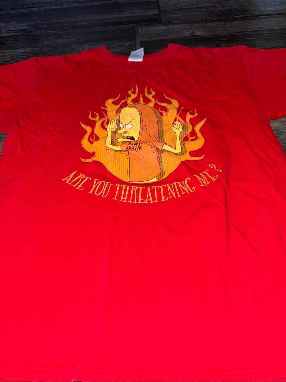 Beavis & butthead MTV vintage large 2004 shirt large